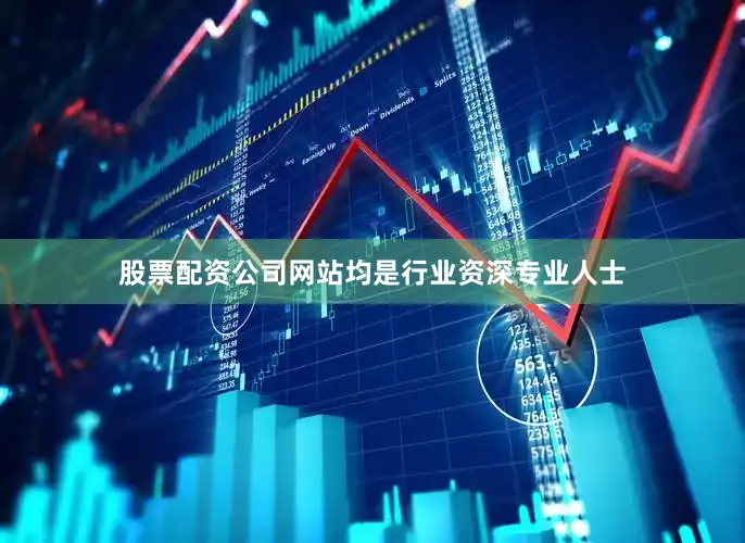 股票配资公司网站均是行业资深专业人士